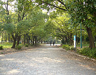 吹上駅