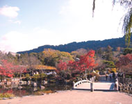 東山区周辺の様子01