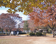 山科周辺の様子03