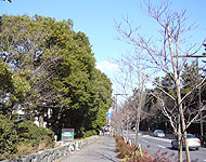 名古屋大学駅周辺の様子03