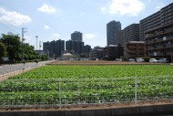 ふじみ野駅周辺の様子08