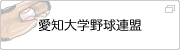 愛知大学野球連盟