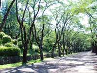 富士森公園