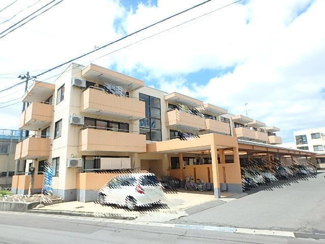 ���X�S���@�X�w�i�o�X16�� �E�ʐ��A �k��3���j