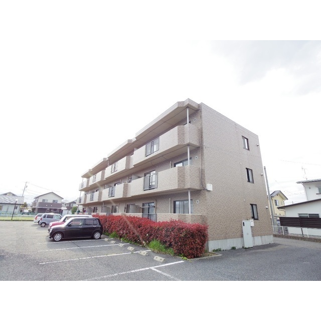 �����{���@�݂ǂ�Ήw�i�k��36���j