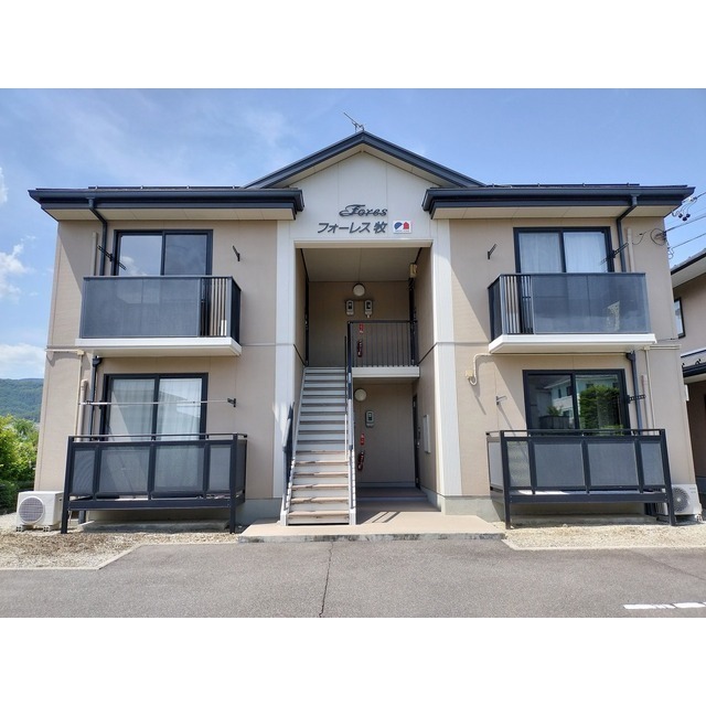 �����{���@����w�i�k��75���j