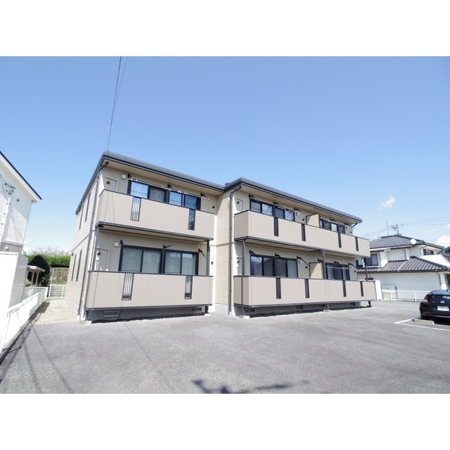 ���Ȃ̓S���@����w�i�k��19���j