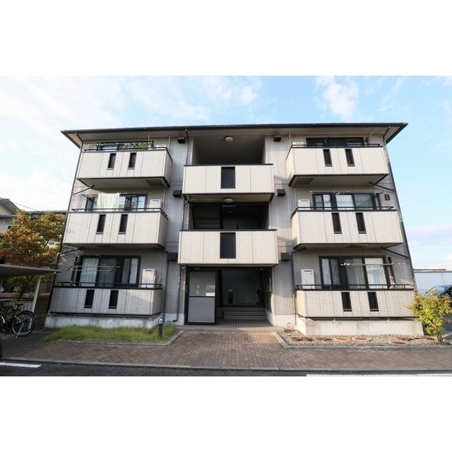 ����d�S������@�ˌ��w�i�k��8���j