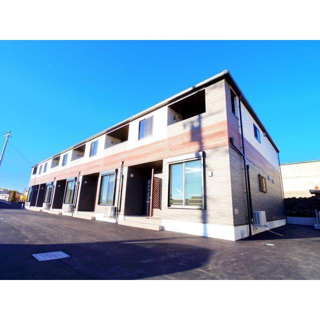 ���Ȃ̓S���@�c���w�i�k��46���j