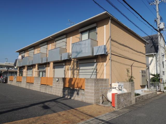 �ߍ]�S���{���@�����s�w�i�k��19���j