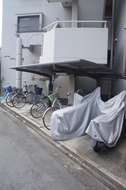 ���{��s�k�撷�]����3�c�j