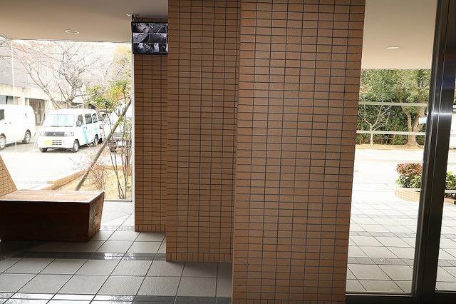 �䓰�ؐ��@�V�����w�i�k��10���j