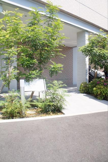 ���{��s�k�撆�S�㒹���U��1�j