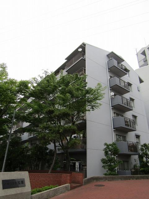 �ߓS������@�͓��V���w�i�k��22���j