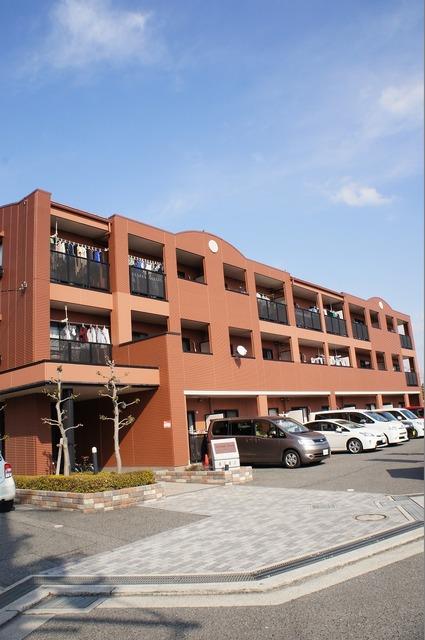 �䓰�ؐ��@�V�����w�i�k��15���j