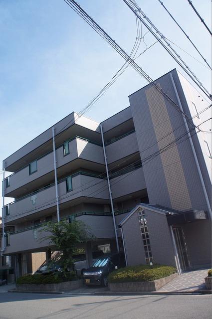 ��C�d�S������@�S�㒹�����w�i�k��8���j