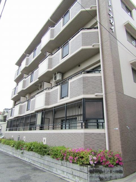 ��a���@�䑷�q���w�i�k��29���j