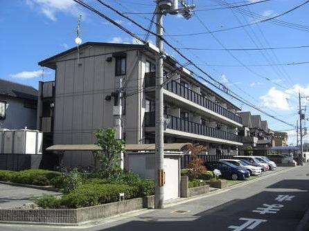 ���{��s�k�撷�]����1�c�j