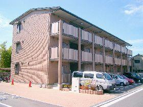 ��C�d�S������@���ŉw�i�k��7���j