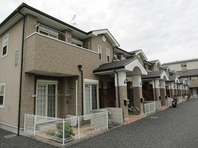 �ߓS������@�͓������w�i�k��19���j