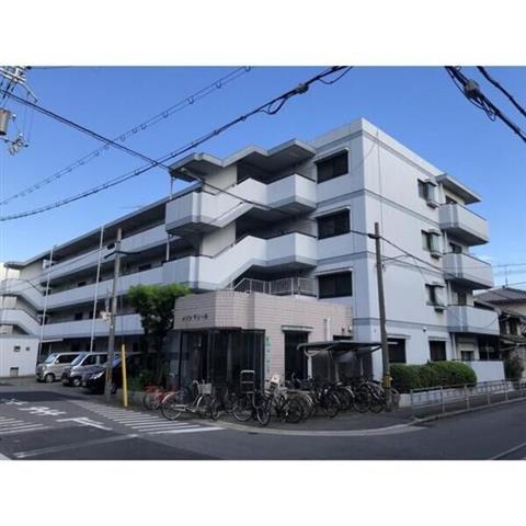 �l�����@�k���ꉮ�w�i�k��10���j