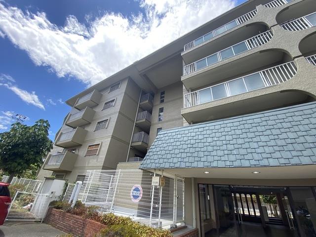 ���{���Ύs�H�߂S����1�k�c�j+1�[��