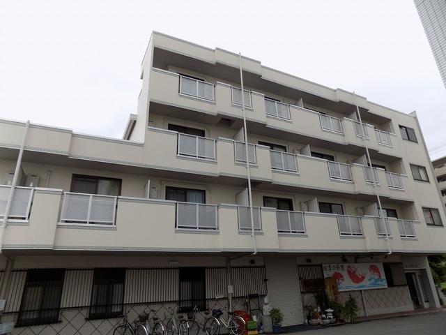 �䓰�ؐ��@�V�����w�i�k��11���j