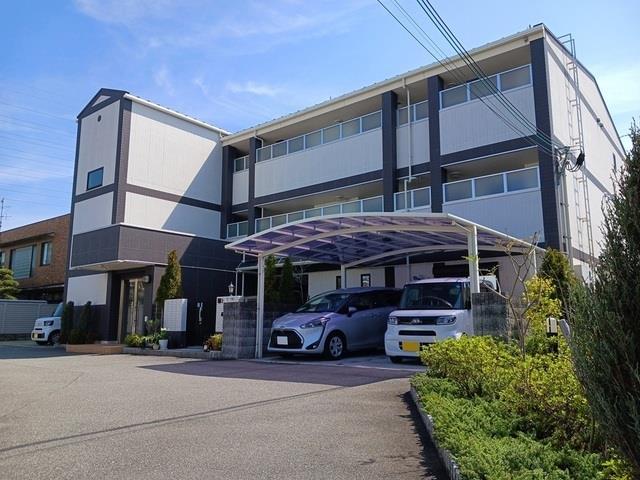 �䓰�ؐ��@�V�����w�i�k��11���j