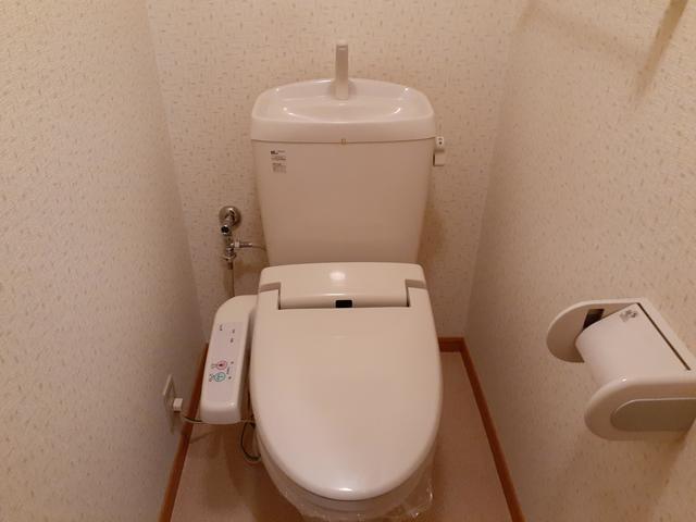 ����4