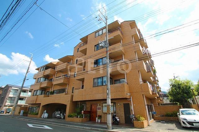 �b�R�d�S�@��掛�w�i�k��6���j