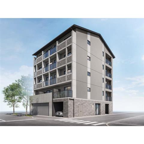 ����d�C�S���������@�o�����w�i�k��21���j�A�b�R�d�S�@�o�����w�i�k��21���j