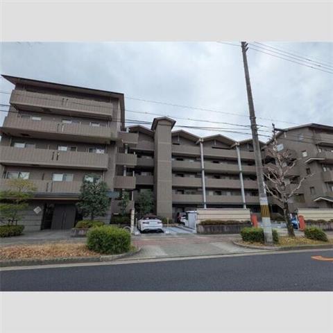 �b�R�d�S�@�O����w�i�k��11���j