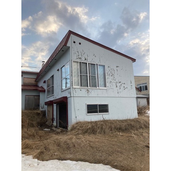 �o�X�E�T���S����i�k��1���j