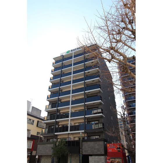 �����������s����瑁�T����1�q