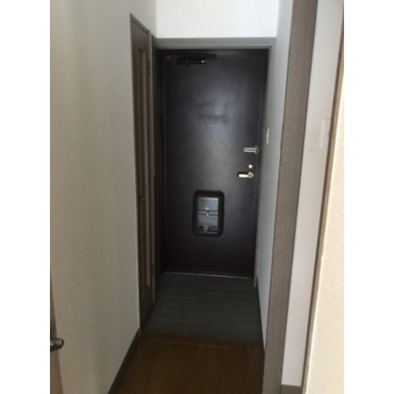 ����11