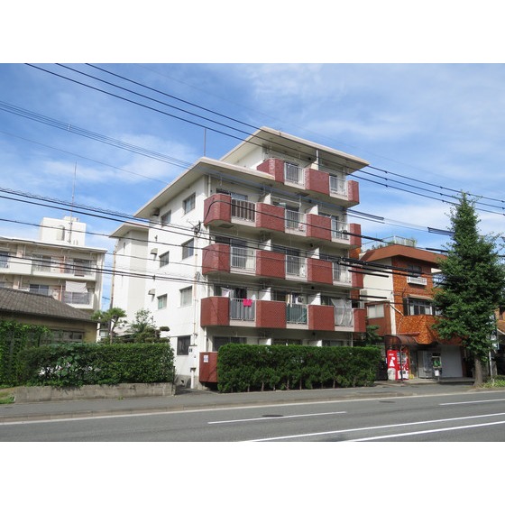 ���S�V�_�喴�c���@�勴�w�i�o�X11���E������j