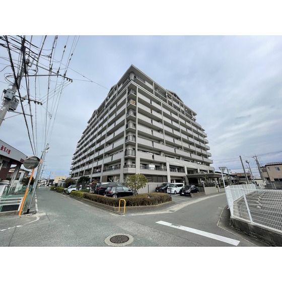 ���S�V�_�喴�c���@���{�w�i�o�X17�� �E���Z�l���ڒ�A �k��10���j