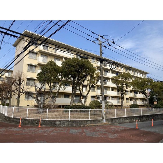 �������{���@�����w�i�o�X25�� �E���Z�O���ڒ�A �k��7���j