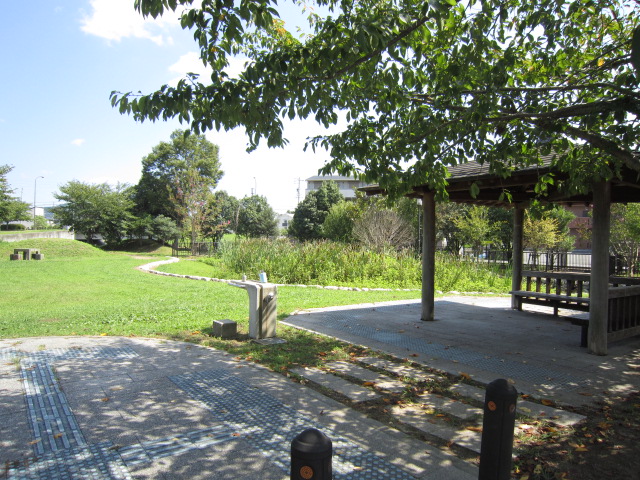 �V���w�̃G���A���1