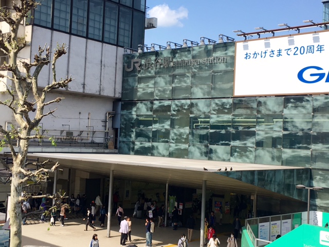 学校周辺地域情報 國學院大学渋谷キャンパス周辺で賃貸住宅を探そう