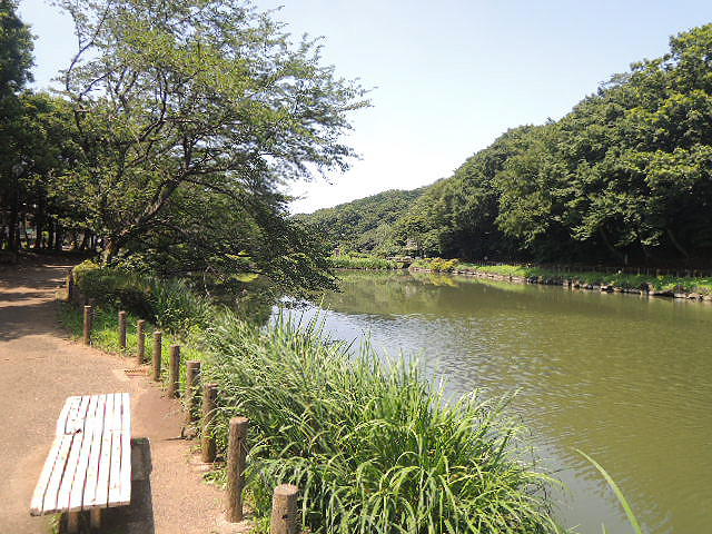 �����Ȋw��w�@���{��L�����p�X�ʐ^7