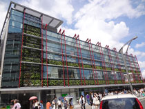 東京大学 本郷キャンパス写真1