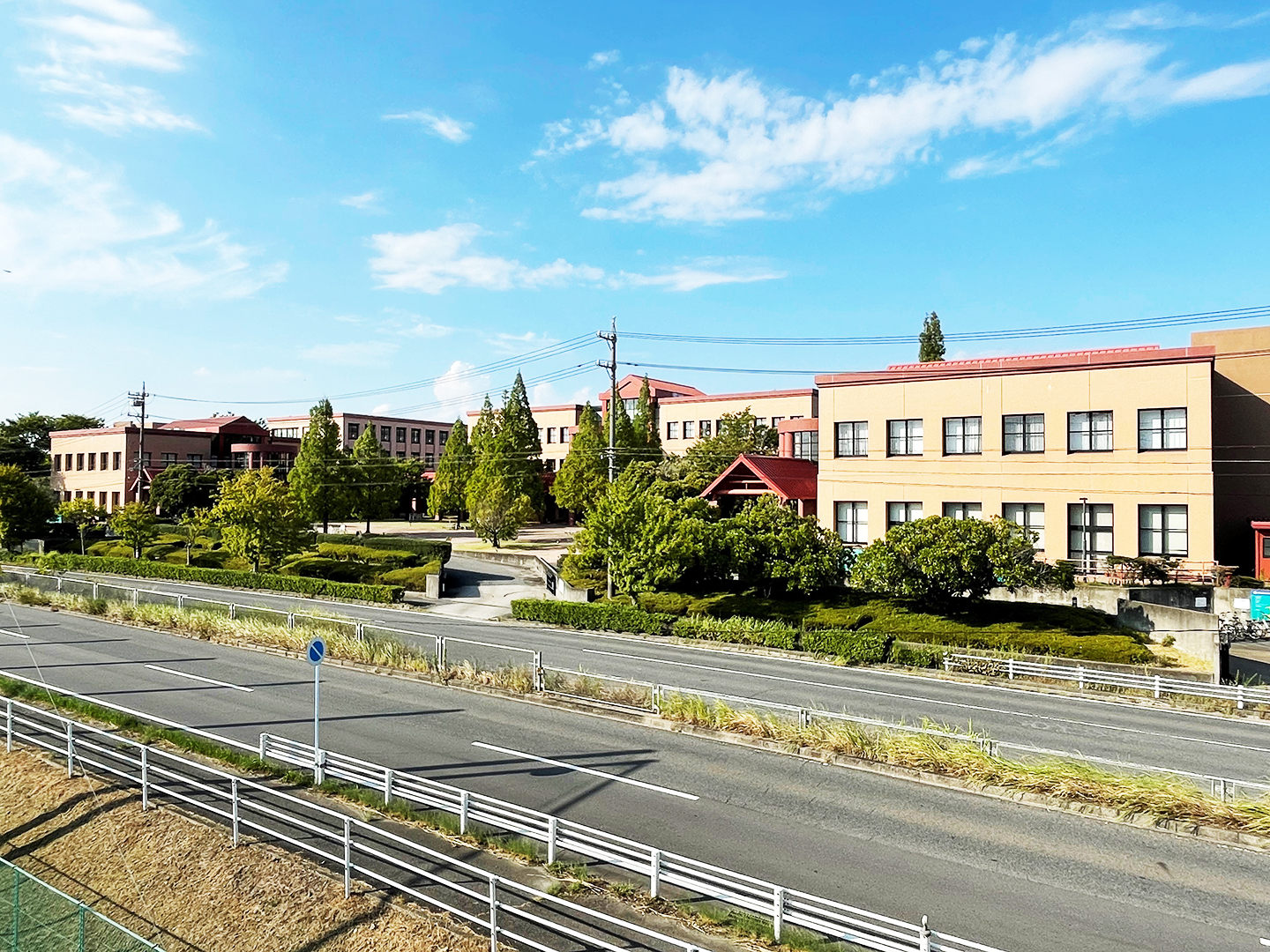 ���{������w�@���c�L�����p�X�ʐ^