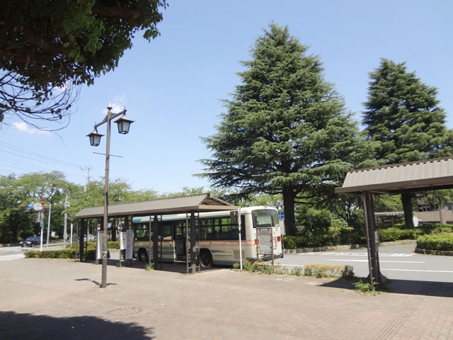 武蔵野学院大学 武蔵野短期大学写真3