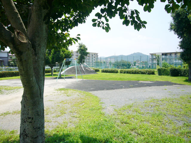 ��ʈ�ȑ�w�@�јC�R�L�����p�X�ʐ^8