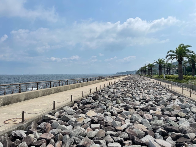 横須賀市立看護専門学校 写真5