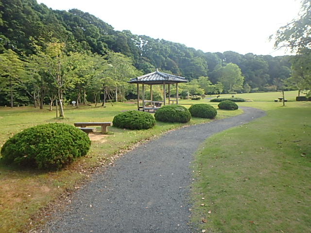 ���ˈ�ÃZ���^�[�t�����̋��Ō�w�Z�@�ʐ^7