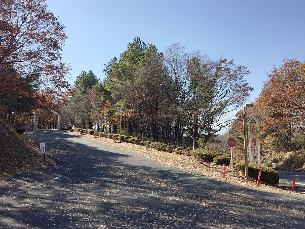 ミニミニ 山村学園短期大学のキャンパス別賃貸マンション アパート情報 学生の一人暮らしのお部屋探しはミニミニ