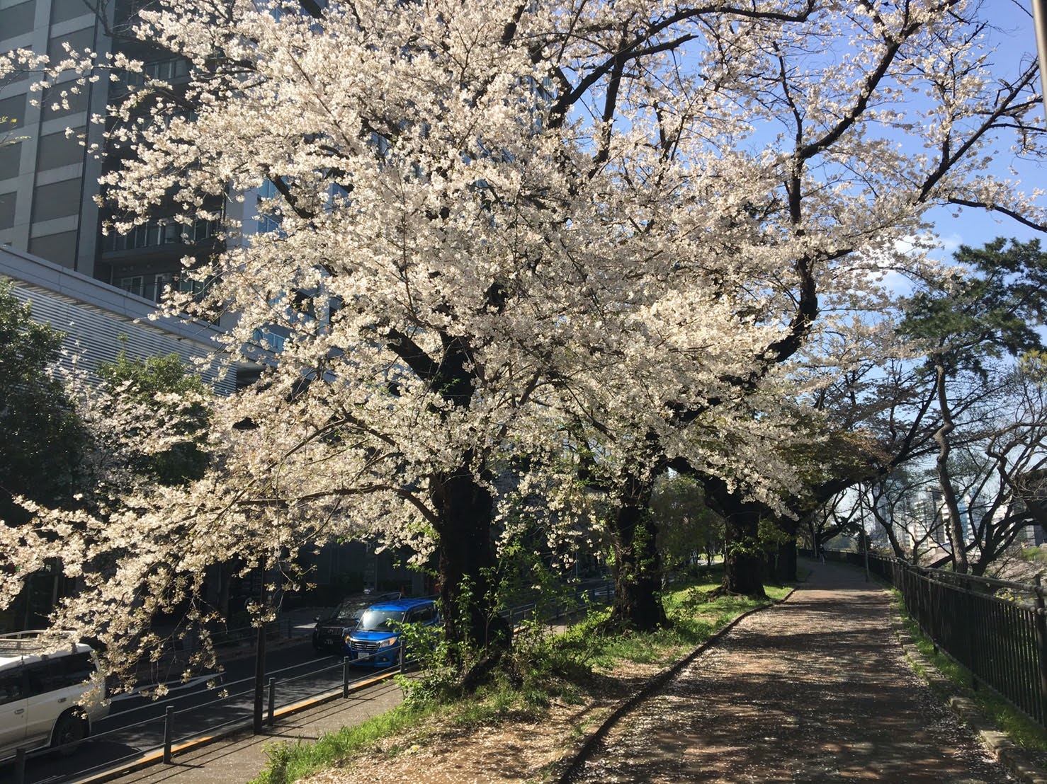 城西短期大学 東京紀尾井町キャンパス写真2