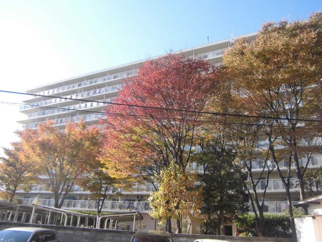 ���s�n���S��k���@�����w�i�k��9���j�A���k�{���@�����w�i�k��9���j